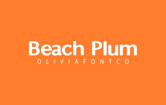 Beach Plum Font for Business