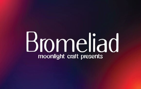 Bromeliad: A Font That Elevates Your Brand