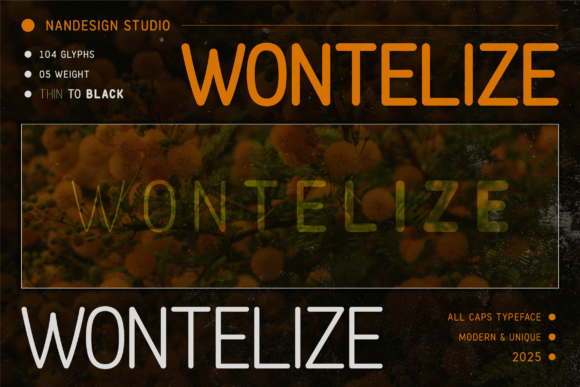 Wontelize Rounded: A Friendly Font for Your Brand
